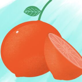 CC0 illustration of an orange, used for the traditional Turkish fairy tale The Three Orange Peris.