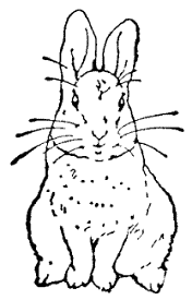 Public-domain 1902 illustration by Beatrix Potter from The Tale of Peter Rabbit.